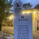 동읍178 | [창원 동읍] 탁 트인 풍경이 예쁜 카페 ‘용강포레’ 내돈내산 후기🌳🌲🍀🌴