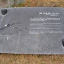 고창BYC 이미지