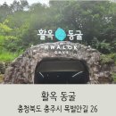 충주환경 노동조합 | [충주 활옥동굴] 실내 투명보트 체험부터 힐링 카페, 와사비 아이스크림까지! 직접 다녀온 찐 후기