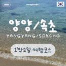 시도29호선R | 강원도 양양/속초 1박 2일 가족여행 여행코스