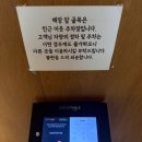 다온요양병원 | 부산 이안 브런치 카페, 도모헌 ( 주차, 이색카페, 남천동)