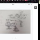 조현제 |초4| Which One? 이미지