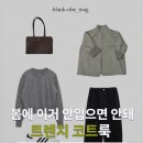 #99 핀터레스트 코디를 따라잡을 수 있는 지그재그 위시리스트