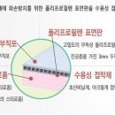 수림2차아파트 이미지