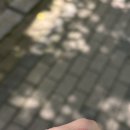 삼다민박 이미지