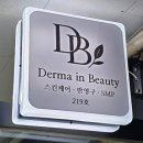 더마인 | 더마인뷰티 후기 — 인계동에스테틱에서 받은 EKSEPTION 필관리