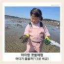 태안호스릴-27 | 아이랑 갯벌체험 추천 3곳｜인천 하나개 · 안산 방아머리 · 태안 진산리 어촌계