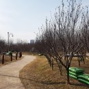동산자원 Daum카페