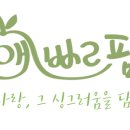 주식회사 팜비트 이미지