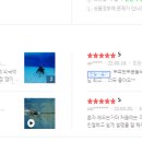 잠실스킨스쿠버다이빙