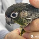 해뜰동물병원 이미지