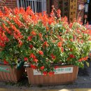 덕계12통마을회관 이미지