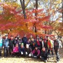 뽑아가세용 이미지