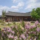 영덕대중음식점