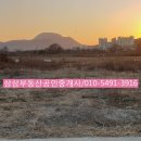 삼삼공인중개사사무소 이미지