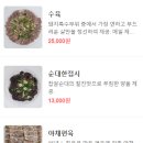 국밥여행 이미지