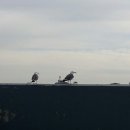 속초바다야 이미지