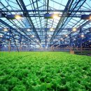 스마트팜 이미지