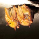 만수2동어린이도서관 이미지