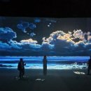 아르떼뮤지엄 이미지