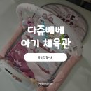 세계로체육관 | 다쥬베베 동물농장 아기체육관 후기｜2개월 아기 혼자 노는 국민 육아템