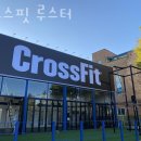 크로스핏 루스터 이미지