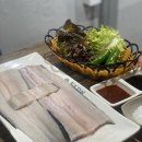 폭풍장어 이미지