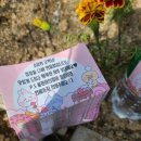 사각프레스 이미지