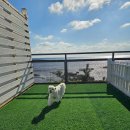 안녕바다팬션5 이미지