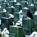 오늘, 제주 이미지