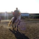 경주목장 이미지