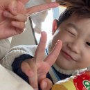 고고렌트카주 이미지
