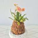 윤희공방 이미지