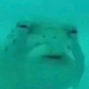 슈퍼치킨 이미지