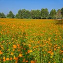 외간체육공원 이미지