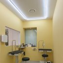 애견미용 견출지 노원점 이미지