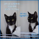 굿모닝24시 이미지