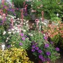 삼보농원 이미지