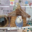 탑마당공인중개사사무소 이미지