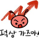 마켓라인 이미지