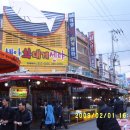 죽도회타운 이미지