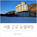 엘리시안 강촌 골프연습장 | 서울 근교 눈썰매장 엘리시안 강촌 스노우힐펀파크 방문 할인 팁