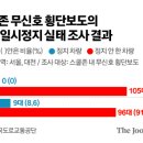 앞 횡단보도 이미지