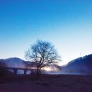 소나무를 품다 이미지