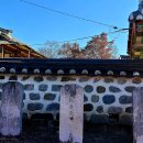 유림-1087 이미지