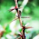 산 아래 이미지