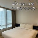 하운드짐 | 부산 송정 하운드호텔 스위트룸 취사가능 솔직후기 내돈내산