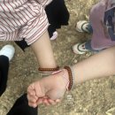 구미 옥성자연휴양림 네트모험시설 무료 신상놀이터 가실 분 꼭 읽어보세요