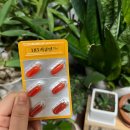 185 | 커큐민 추천! &#39;185 커큐민&#39; 후기로 알아보는 커큐민 영양제 선택 포인트