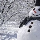 미스타오토